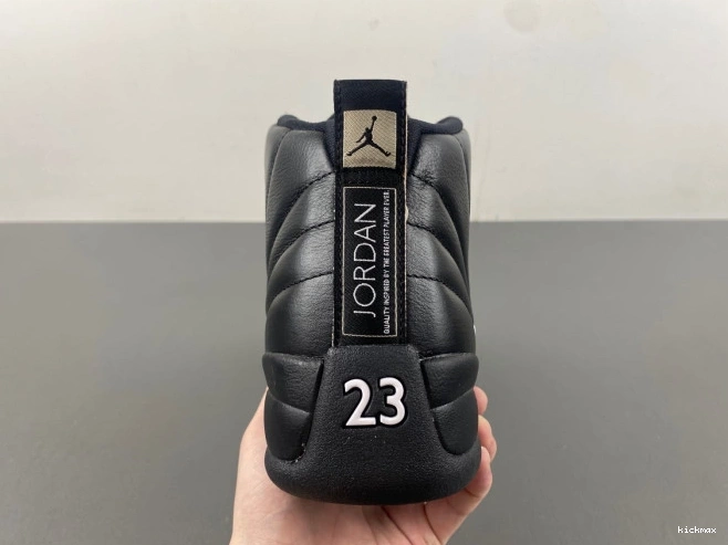Cheap MAX 130690-013 The Air Retro Master Jordan 12 0707